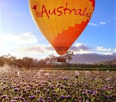 Celebrate The Chinese New Year Hot Air Balloon Fest In Cairns 1