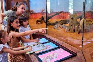 Best Things To Do In Cairns