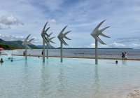 Cairns For Free Lagoon Gardens Boardwalk