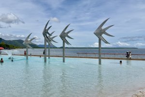 Cairns For Free Lagoon Gardens Boardwalk