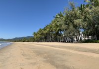 Cairns Northern Beaches Palm Cove Trinity Ellis