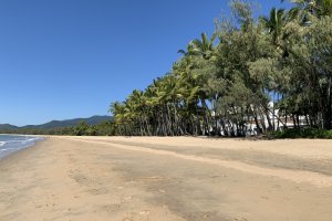 Cairns Northern Beaches Palm Cove Trinity Ellis