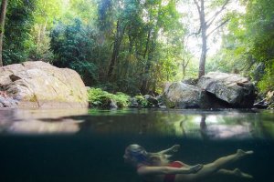 Free Things To Do In Cairns