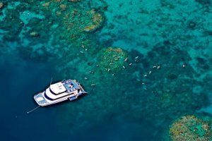 Great Barrier Reef Reef Experience Cairns Australia Day Tour Snorkel Scuba Trips