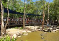 Tourist Attractions Around Cairns