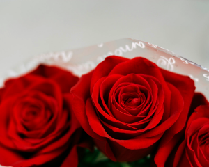 Valentines Day 2