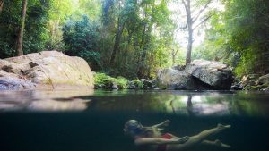 Free Things To Do In Cairns