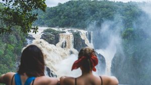 Kuranda Trip