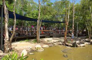 Tourist Attractions Around Cairns