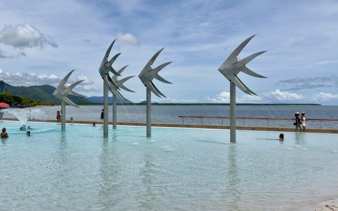 Cairns For Free Lagoon Gardens Boardwalk