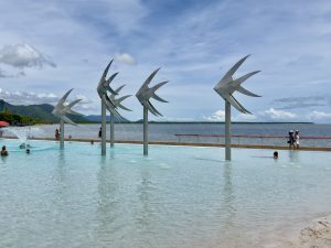 Cairns For Free Lagoon Gardens Boardwalk