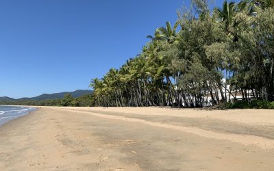 Palm Cove, Trinity or Ellis? Choosing Your Northern Beach Day